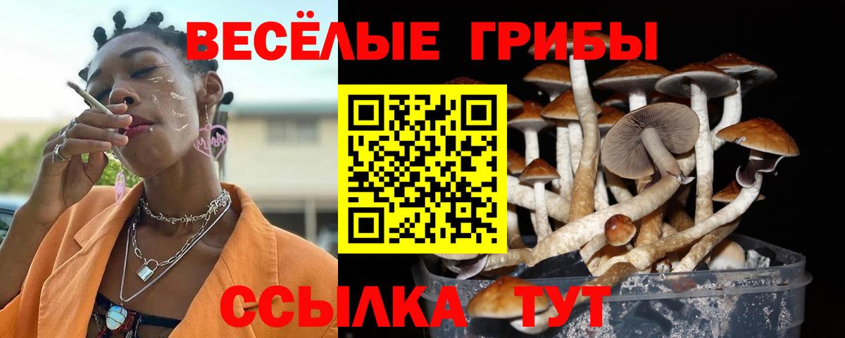 ГЕРОИН Кунгур