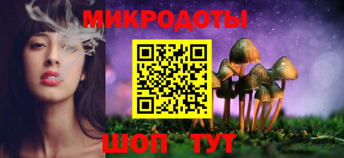 Галлюциногенные грибы Psilocybine cubensis  Вход с VPN  Кунгур 