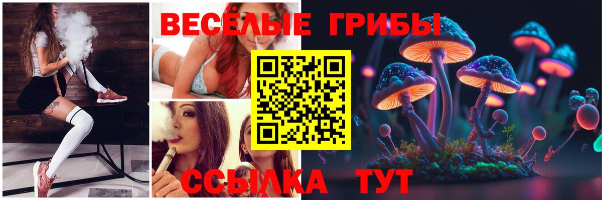 Галлюциногенные грибы мицелий  магазин продажи наркотиков  Галлюциногенные грибы Magic Shrooms  Кунгур 