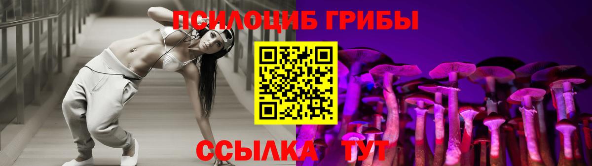 Псилоцибиновые грибы мицелий Кунгур